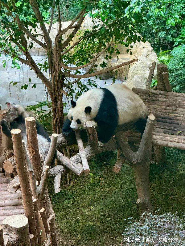 几月份去旅游景点 玩转精华！成都的著名景点推荐 四川适合(图4)