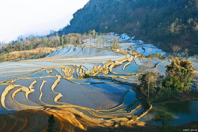 台去云南玩8天大概需要多少钱山东去云南旅游多少钱青岛烟(图2)